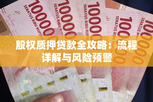 北京股权质押贷款全攻略：流程详解与风险预警