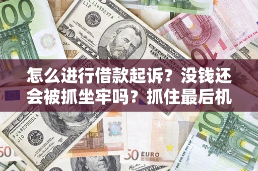 北京怎么进行借款起诉？没钱还会被抓坐牢吗？抓住最后机会！