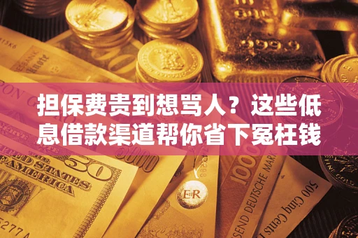 北京担保费贵到想骂人？这些低息借款渠道帮你省下冤枉钱