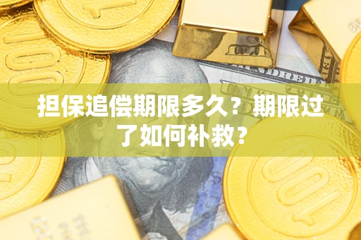 北京担保追偿期限多久？期限过了如何补救？