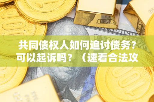 北京共同债权人如何追讨债务？可以起诉吗？（速看合法攻略）
