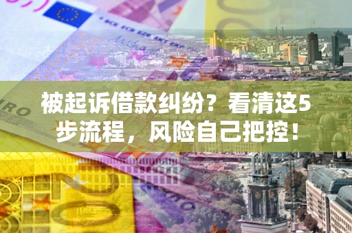 北京被起诉借款纠纷？看清这5步流程，风险自己把控！