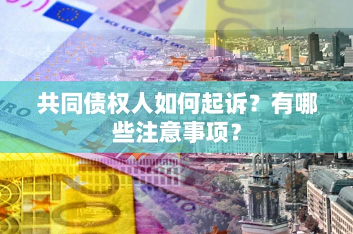 北京共同债权人如何起诉？有哪些注意事项？